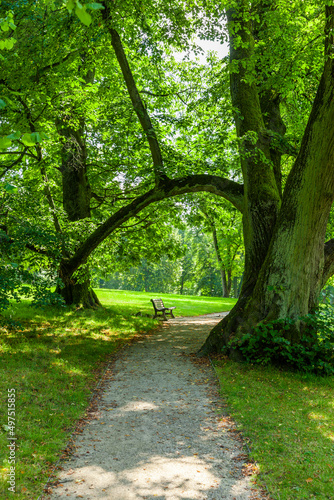 Ruhebank in einem schönen Park