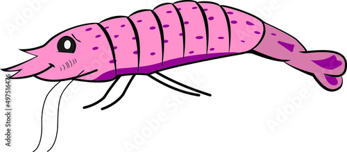 Cute Smiling Shrimp on a White Background