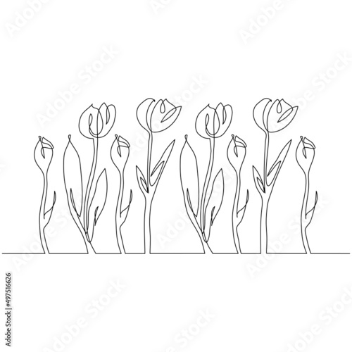 Beautiful tulip field in continuous one line drawing. Minimalistic line art. Tulip border concept. #497516626