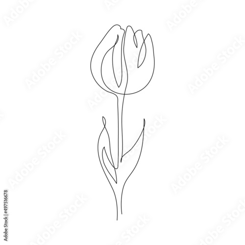 Tulip flower in continuous one line drawing. Minimalistic line art. Abstract spring flower concept.