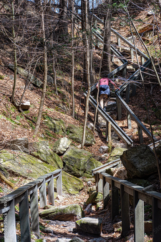 A handrail helps hikers on this very steep section of the hiking trail at Hawk Mountain Sanctuary in PA.  Hard to believe this is the easy trail.  Man Jogs up the steep hiking trail.