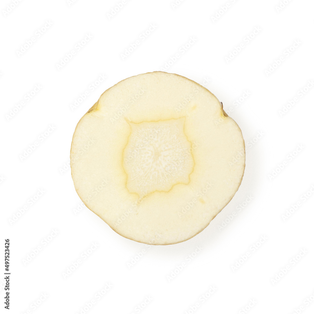 Parnsnip round slice isolated on white background Parnsnip round slice isolated on white background