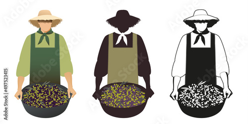 Three versions of an olive farmer carrying a basket of freshly picked olives. Isolated illustration on white background.