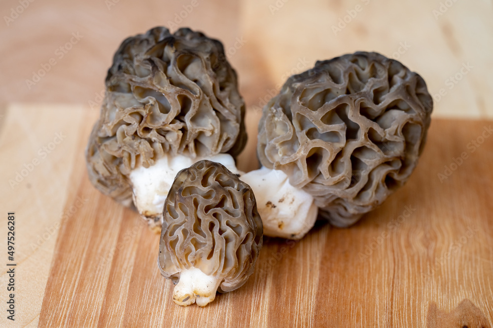 Fototapeta premium Three Black Morels on Wood