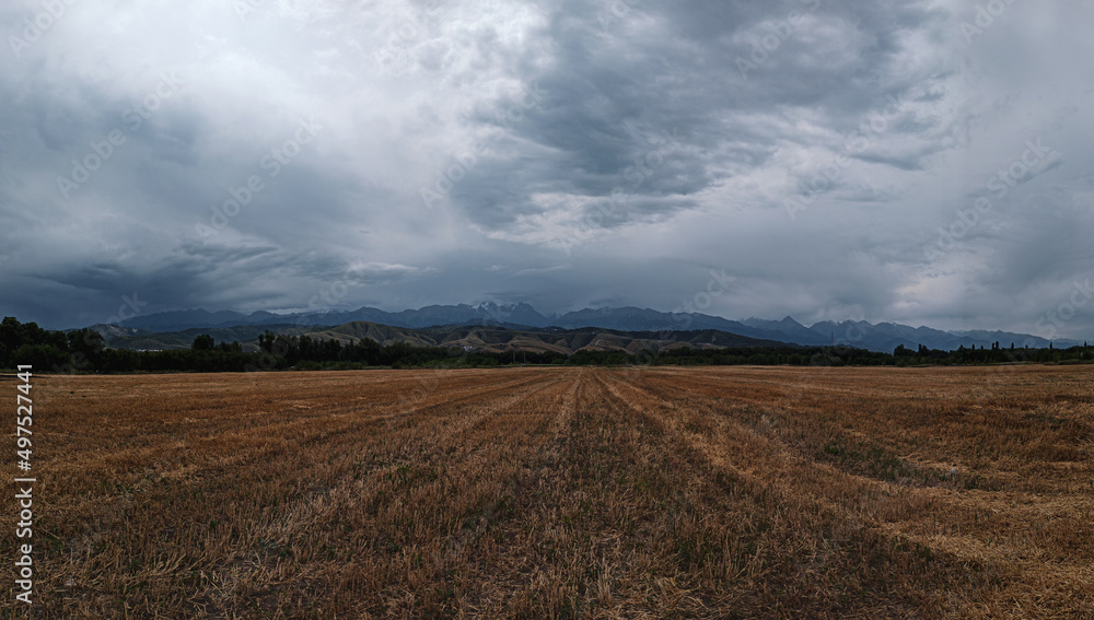 Fototapeta premium panoramic view of the beautiful mountains