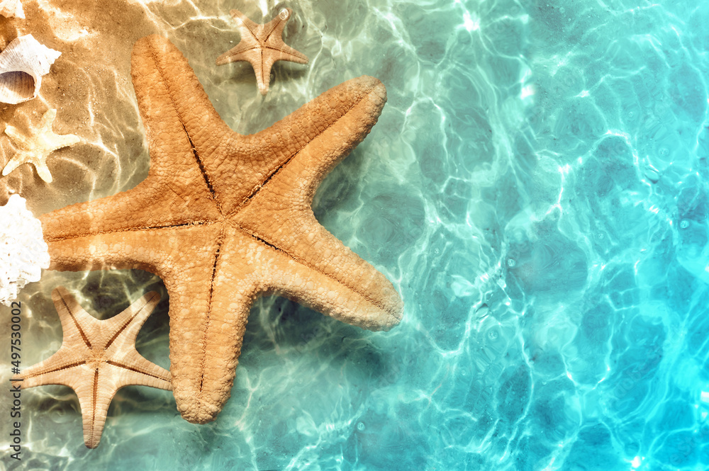 Starfish on the summer beach in sea water. Summer background. Starfish on the summer beach in sea water. Summer background.