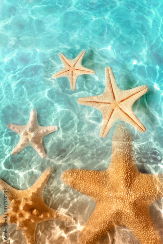 Starfish on the summer beach in sea water. Summer background.