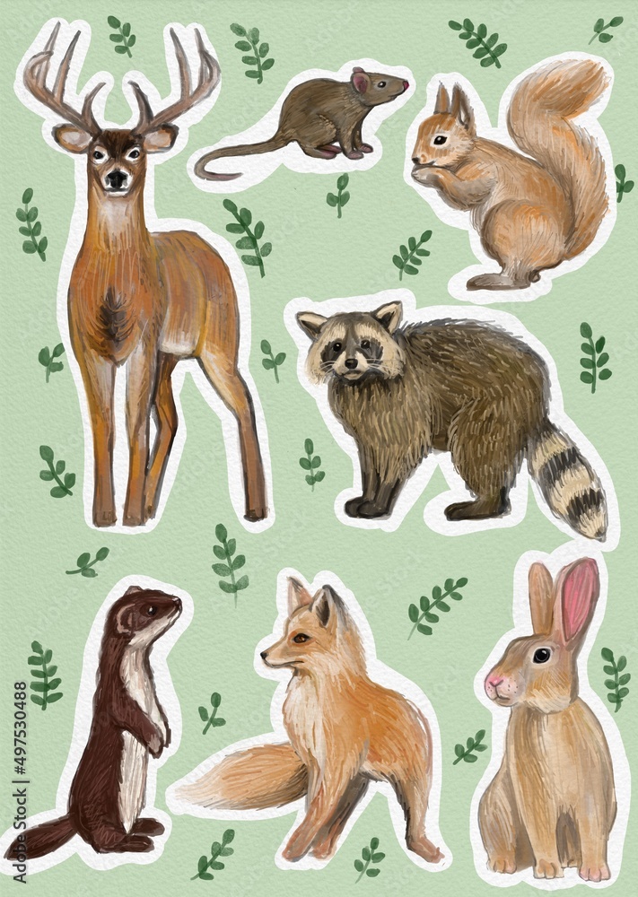 Fototapeta premium set of animals
