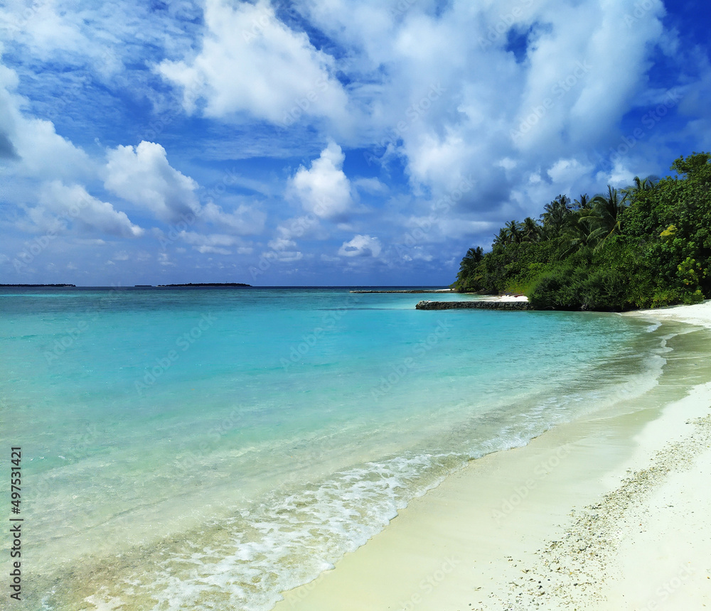 Maldives, the deserted beach with white sand and trees near the turquoise ocean.