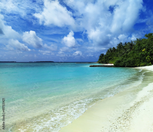 Fototapeta Naklejka Na Ścianę i Meble -  Maldives, the deserted beach with white sand and trees near the turquoise ocean.