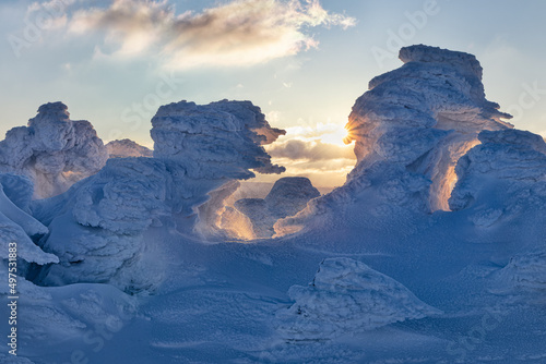 Trees covered with blown snow during winter sunset. Amazing natural creation. Beautiful structures of snow created on a mountain ridge. Cold, freezing, almost hostile yet gorgeous environment.