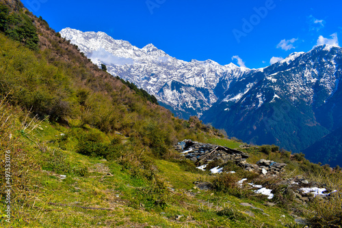 alpine meadow in the mountains