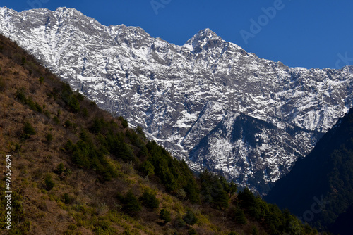 snow peaks 