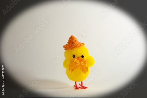 Żółty kurczaczek Wielkanocny.