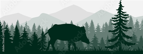 vector mountains forest woodland background silhouettes texture with wild hog boar mascot EPS