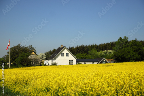 landscape with flowers