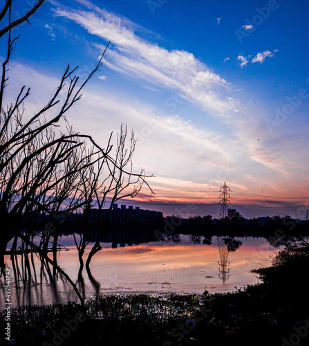 Vertical shot of dry trees reflectig in a lake with the morning lighting photo