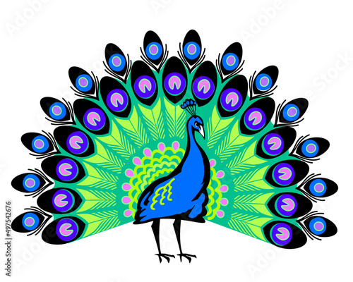 peacock feather and peacock, in bright colors, vector illustration. Logo image of peacock isolated on white