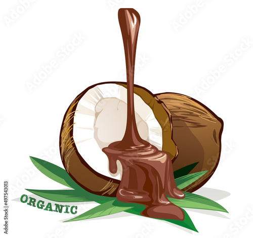 Illustration of chocolate cream flowing on coconut,
vector illustration. Isolated on white