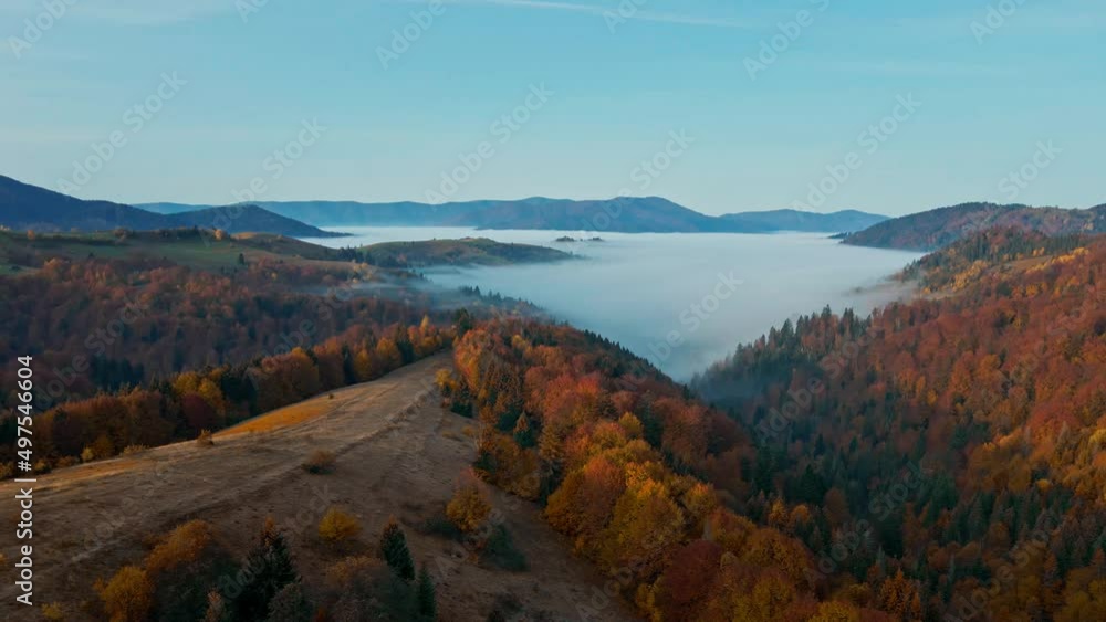 Sunrise in the misty forest. Marvelous view of flying over pine forest in the morning. There is magical fog all the way to the horizon. Beautiful nature in Ukraine. Aerial shot, 4K. Sunrise in the misty forest. Marvelous view of flying over pine forest in the morning. There is magical fog all the way to the horizon. Beautiful nature in Ukraine. Aerial shot, 4K.