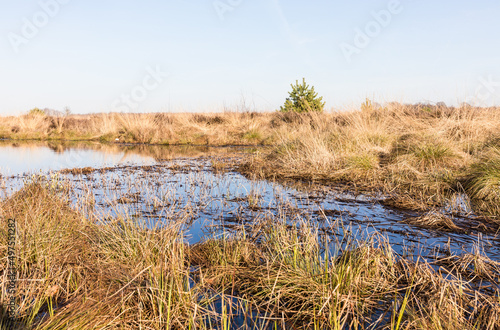 Scenic view of water surface in Recker Moor moorland in Recke, Germany photo