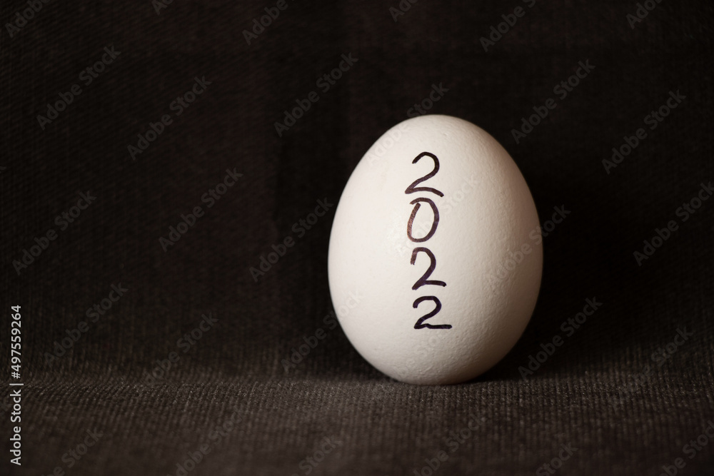 One white chicken egg with the inscription 2022 on a gray background close-up, year 2022 One white chicken egg with the inscription 2022 on a gray background close-up, year 2022