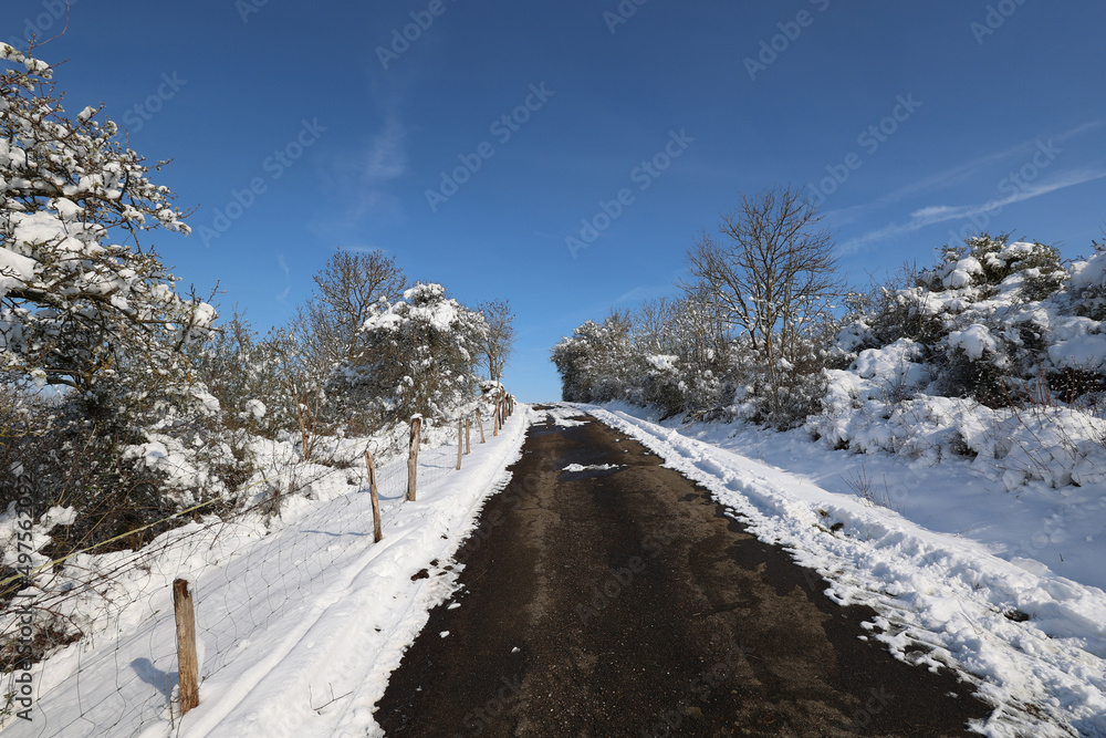 Winter landscape with freshly fallen snow in the morning Winter landscape with freshly fallen snow in the morning