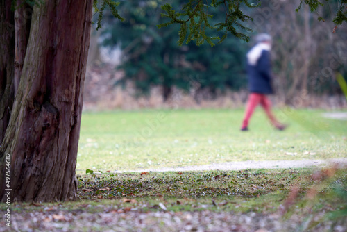 Tree trunk in the park. Male walker in grass. Man movement out of focus.