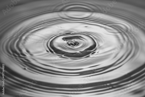 Closeup view of falling drops on water surface isolated on black and white background.