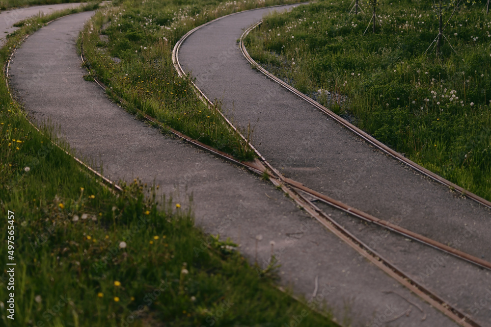 The old tram rails were overgrown with grass and dandelions in the spring. The rails of the road intersect The old tram rails were overgrown with grass and dandelions in the spring. The rails of the road intersect