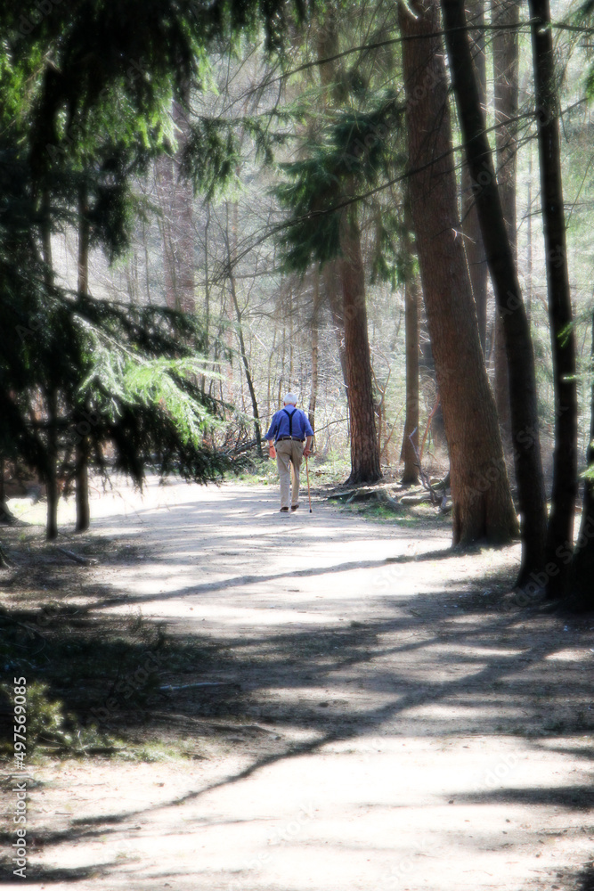 walk in the park walk in the park