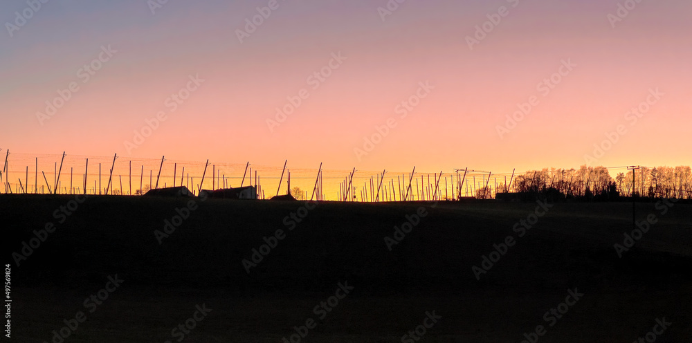 Pfaffenhofen Ilm Landscape sunset view with blood red sky and hops field silhouette Pfaffenhofen Ilm Landscape sunset view with blood red sky and hops field silhouette