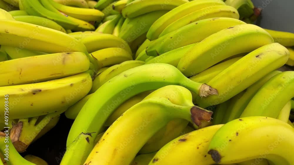 banana fruits on the counter of the market store healthy meal food diet snack on the table copy space food background rustic top view keto or paleo diet veggie vegan or vegetarian food banana fruits on the counter of the market store healthy meal food diet snack on the table copy space food background rustic top view keto or paleo diet veggie vegan or vegetarian food