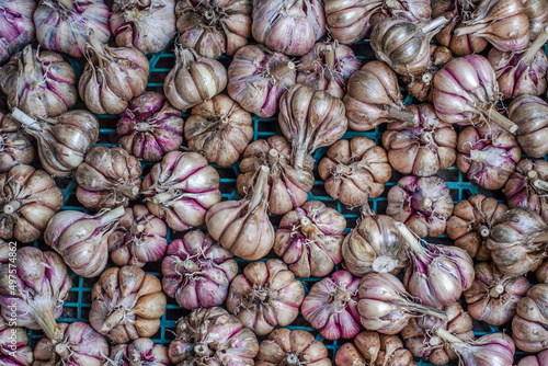 Lots of ripe and dried garlic bulbs lying in a crate. View from the top.