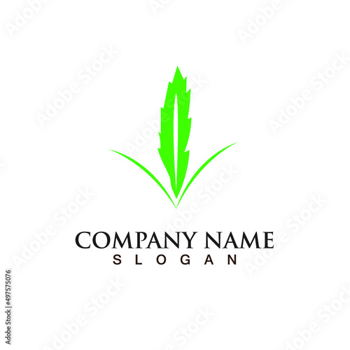 company logo design illustration