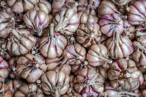 Lots of ripe and dried garlic bulbs lying in a crate. View from the top.