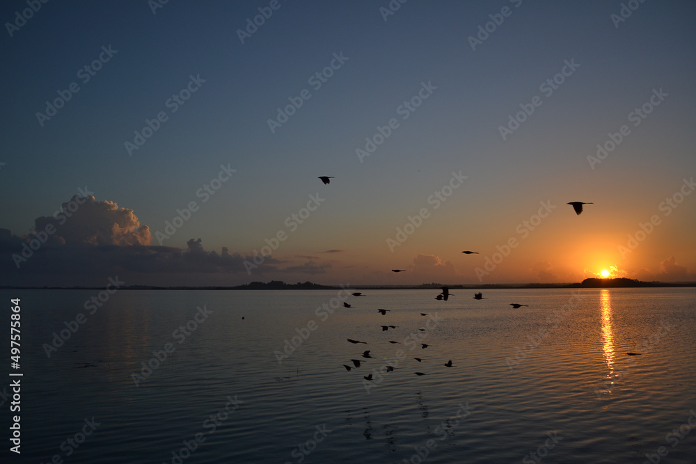 sunrise and lake with birds flying in Bacalar, Mexico