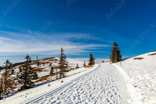 Entdeckungstour auf den Feldberg im Schwarzwald - Baden-Württemberg - Deutschland