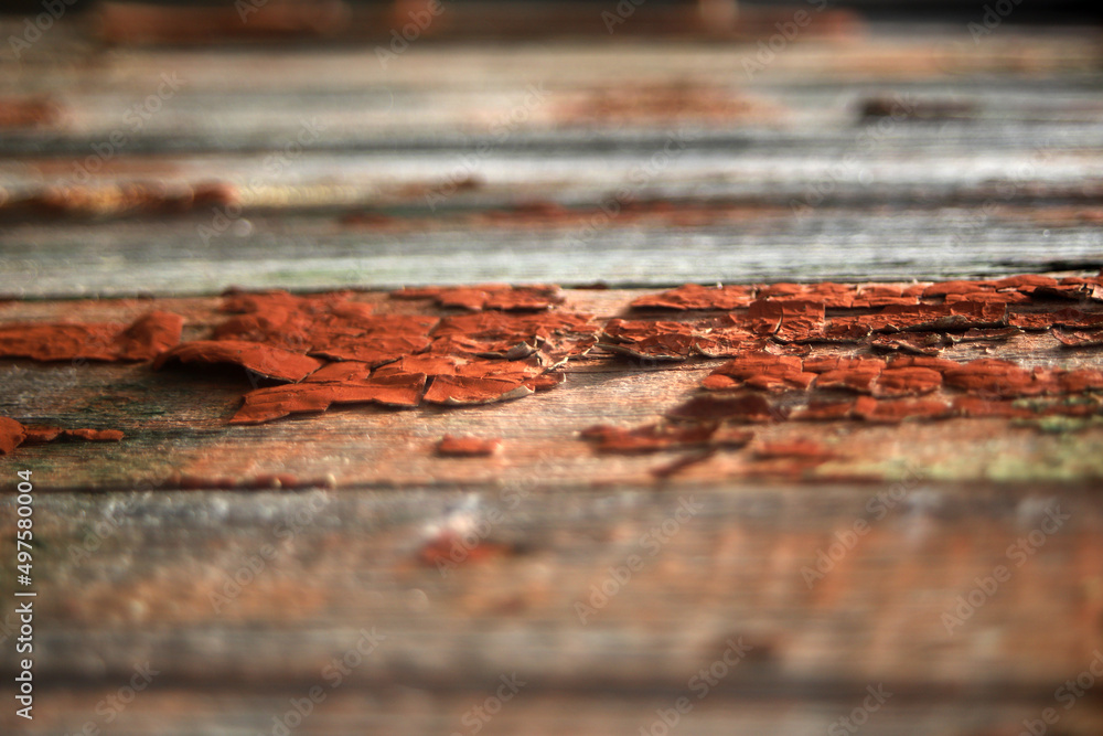 Fototapeta premium old wood texture