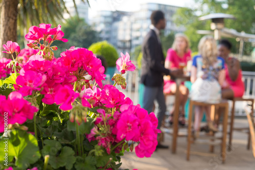 people talking in garden behind pink flowers