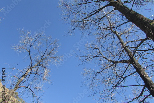 Photography Landscape photography in the India