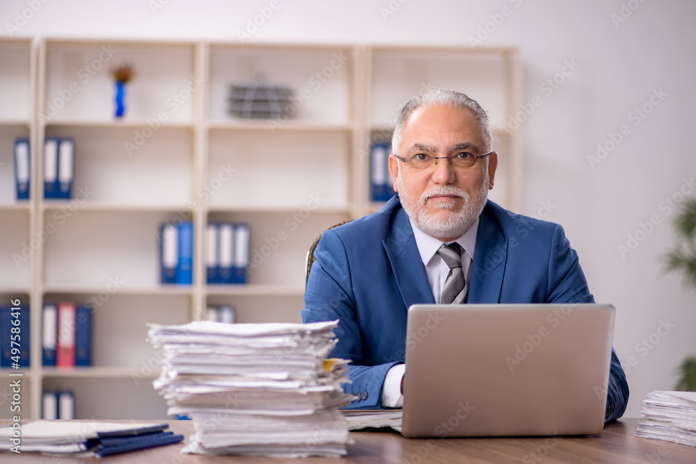 Old male employee working in the office Old male employee working in the office