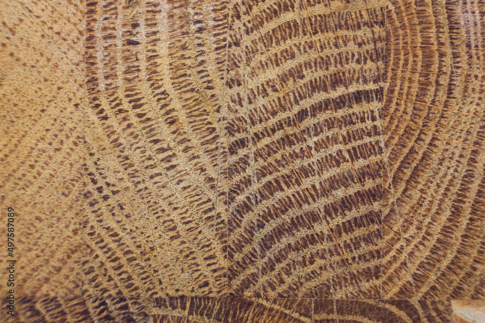Brown oak wood texture. Abstract background Brown oak wood texture. Abstract background