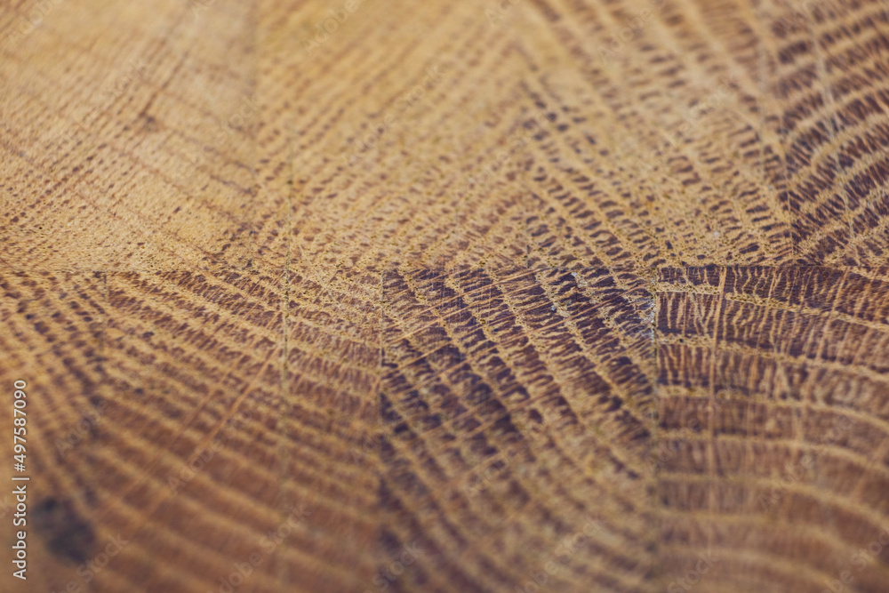 Oak wood panel. Brown wooden background Oak wood panel. Brown wooden background