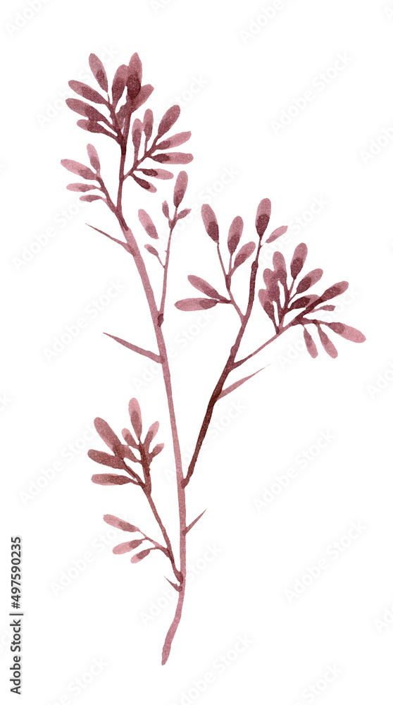 Christmas-themed element. dried trunk decoration. a hand drawn illustration of the watercolor painting in aquarelle style. Christmas-themed element. dried trunk decoration. a hand drawn illustration of the watercolor painting in aquarelle style.