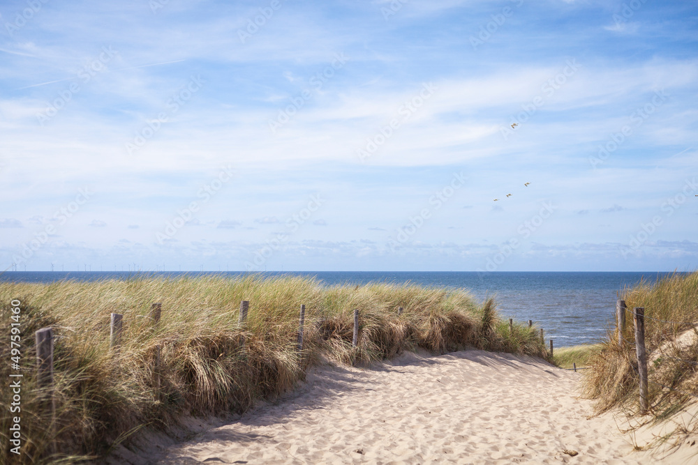 Letzte Düne vor dem Strand