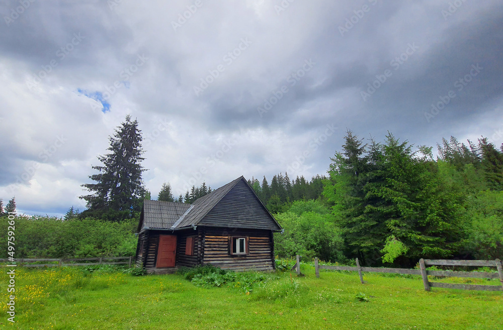 A wooden mountain hut or challet on a beautiful spring day. Cloudy day, green pasture and mountain hut made of wood.