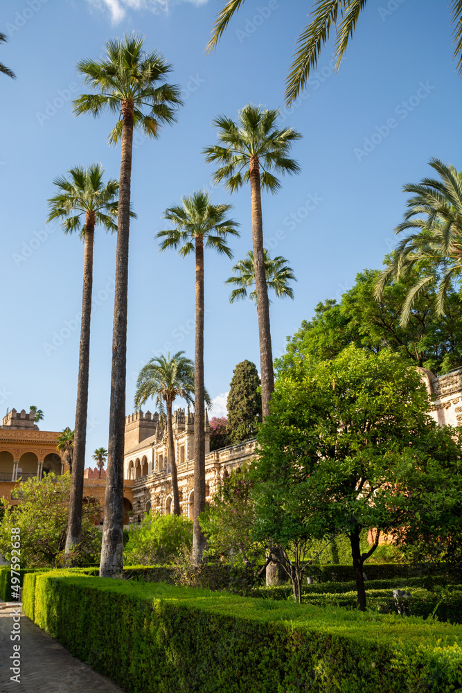 Royal palace green gardens in Mudejar style. Old historical Andalusian town Seville, Spain.
