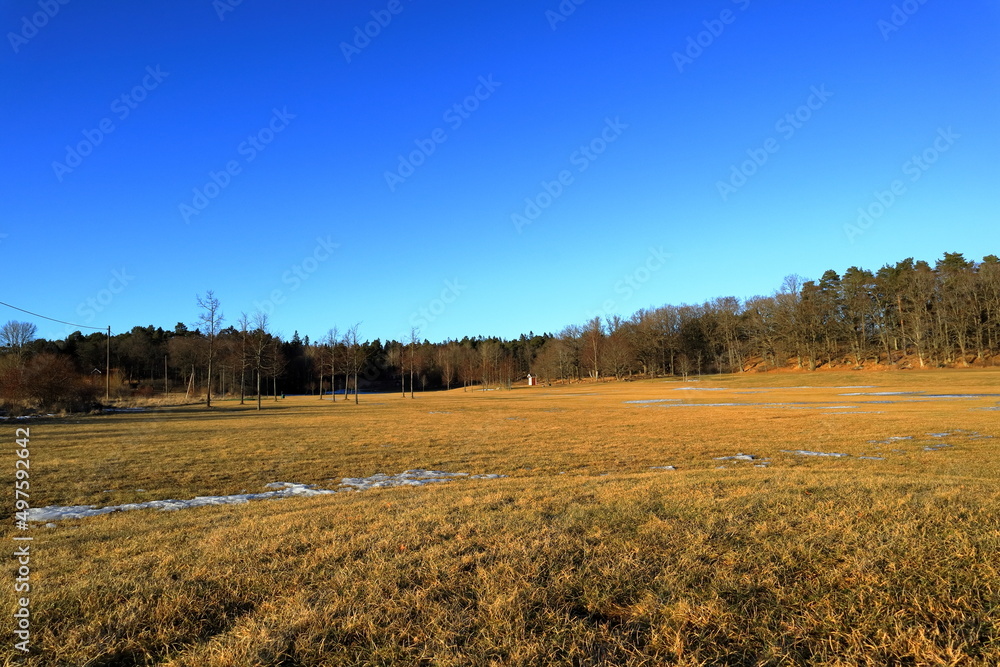 Golf course during spring. Yellow old grass at the field. Landscape and nature photo. Stockholm, Sweden.