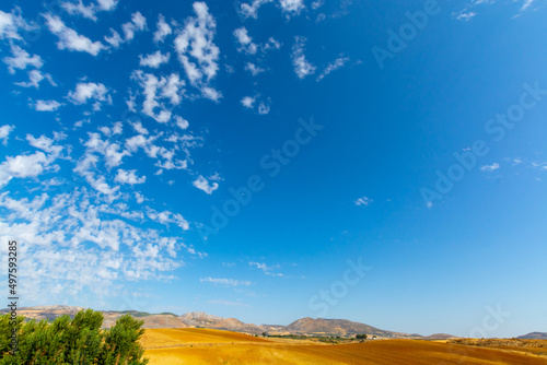 Andalusian landscape with yellow hills and blue sky with high white clouds